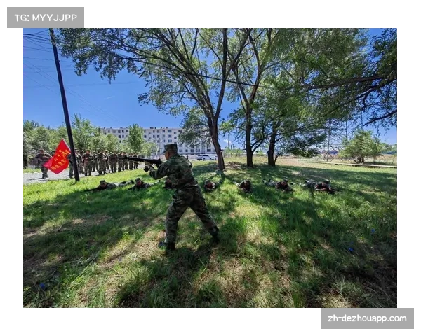 基础战术执行合格率仅82%,尼克斯沟通机制待改善